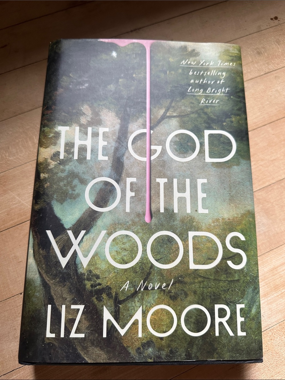 Liz Moore The God of the Woods - Green Cover Novel